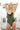Emerald Velvet Thong One Piece